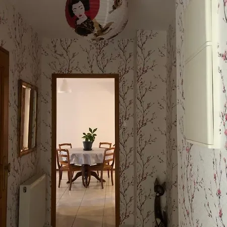 Les Acacias Apartment Colmar