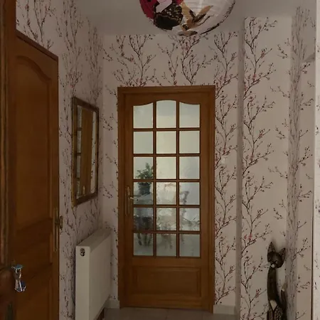 Daire Les Acacias Colmar