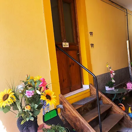 Les Acacias 公寓 科尔马