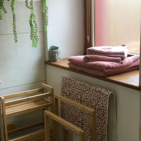 公寓 Les Acacias 科尔马