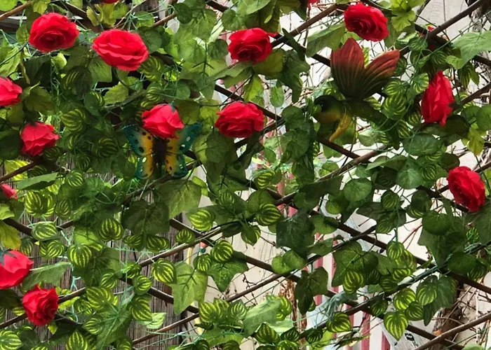 Appartamento Les Acacias